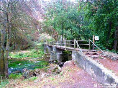 Hoces Río Duratón-Sepúlveda; brujulas gente viajera pedriza 9 de noviembre emperador carlos v